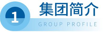 集团简介