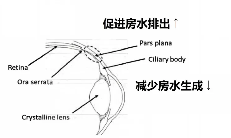 图片 6.png