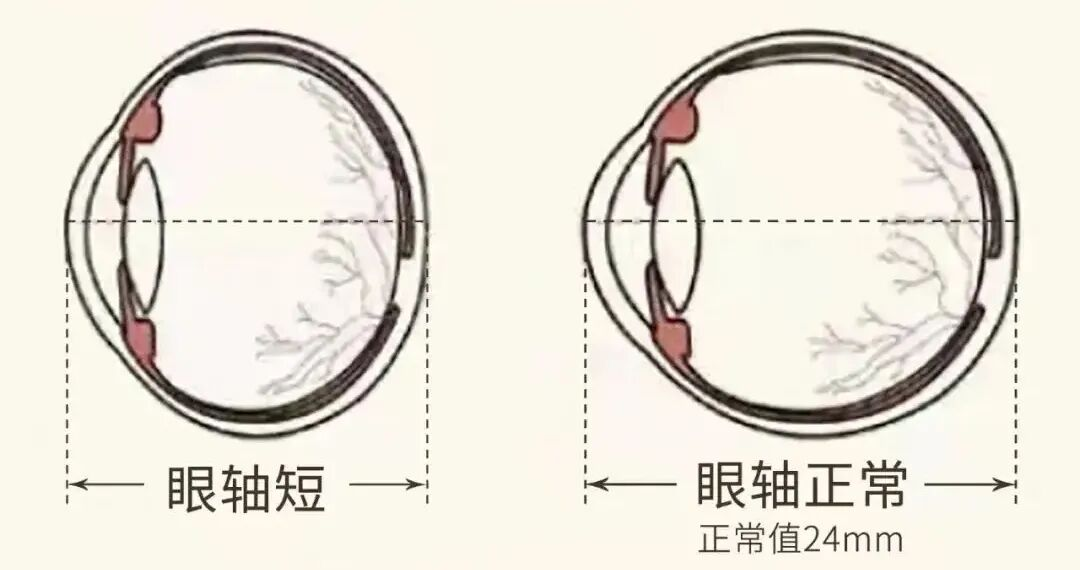 图片 2.png