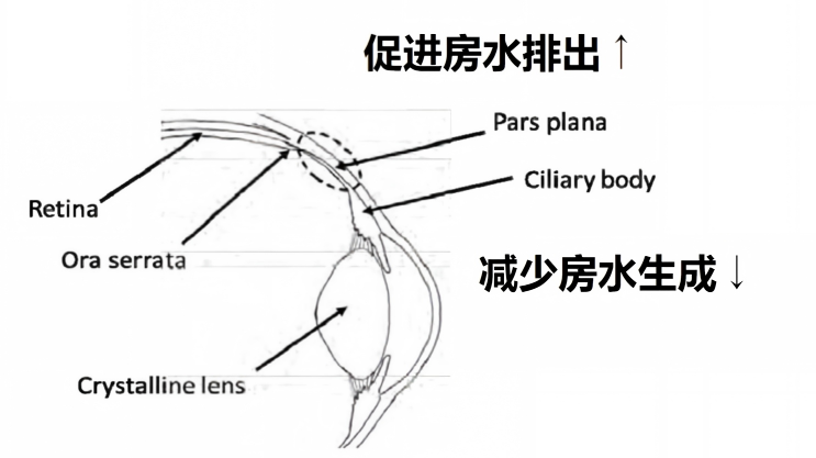 图片 3.png